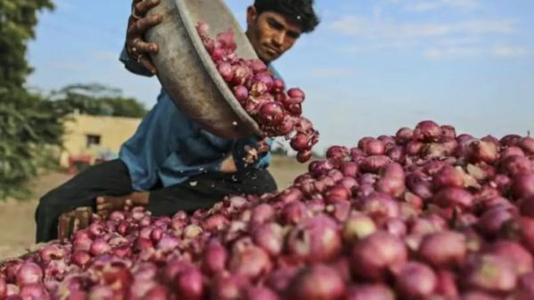 ପୁଣି ଚିନ୍ତା ବଢାଇଲା ପିଆଜ ଦର