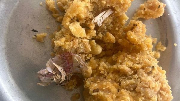 Tirupati laddu: ପଶୁଚର୍ବି ପରେ ଏବେ ପ୍ରସାଦରୁ ମିଳିଲା ତମାଖୁ ପ୍ୟାକେଟ୍‌!