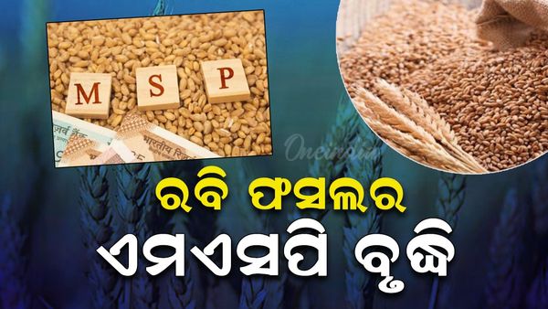ପ୍ରଧାନମନ୍ତ୍ରୀଙ୍କ ଦୀପାବଳି ଭେଟି: ୬ ରବି ଫସଲର ଏମଏସପି ବୃଦ୍ଧି
