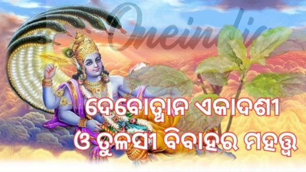 ଦେବୋତ୍ଥାନ ଏକାଦଶୀ; ଶାଳଗ୍ରାମ ସହିତ ତୁଳସୀଙ୍କ ବିବାହ କାହିଁକି ହୁଏ ?