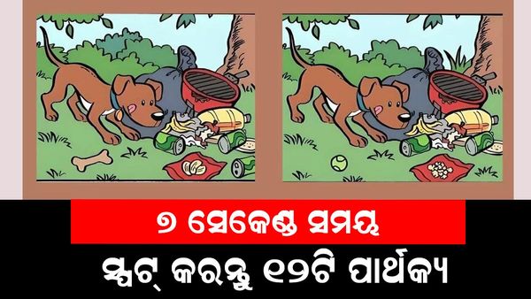 ପଜଲ ଗେମ୍, ଗେମ୍ , ଗେମ୍ ଖେଳନ୍ତୁ, ସ୍ପଷ୍ଟ କରନ୍ତୁ, ଏମିତି ଖେଳନ୍ତୁ