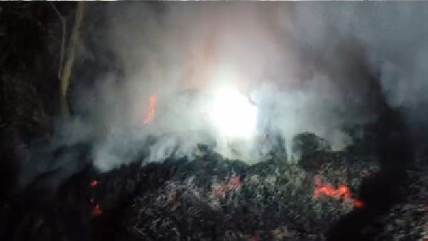 ଜଳିଗଲା ୧୦ ଏକର ଜମିର ଧାନ ଫସଲ