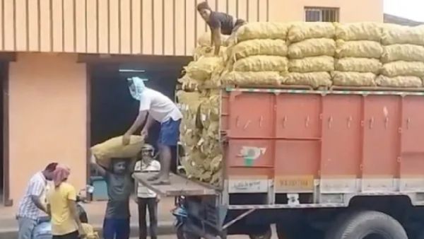 ରାଜ୍ୟରେ ଆଳୁ ସଂଙ୍କଟ: ଉତ୍ତରପ୍ରଦେଶରୁ ଆସିଲା ୩ ଶହ ଟ୍ରକ ଆଳୁ