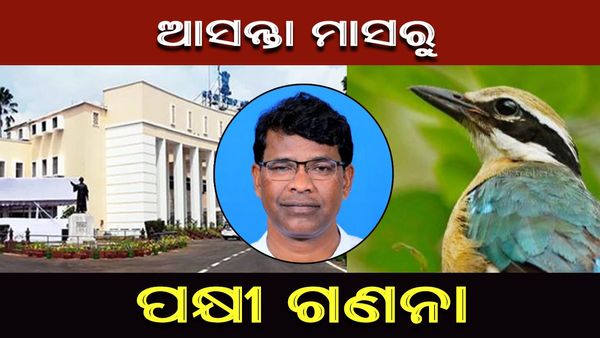 Odisha Assembly: ଓଡ଼ିଶା ଆସିଛନ୍ତି ୪ ଲକ୍ଷରୁ ଅଧିକ ବିଦେଶାଗତ ପକ୍ଷୀ, ଜାନୁଆରୀରୁ ଗଣନା ଆରମ୍ଭ