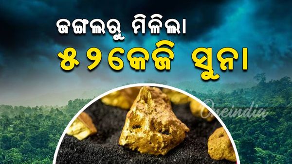 ଜଙ୍ଗଲରୁ ଜବତ ହେଲା ୫୨ କେଜି ସୁନା