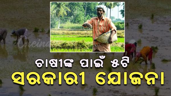 Farmers Day 2024: ଚାଷୀଙ୍କ ପାଇଁ ୫ଟି ସରକାରୀ ଯୋଜନା, ଦେଉଛି ସର୍ବାଧିକ ଲାଭ