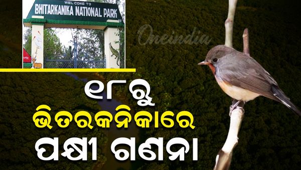Bhitarkanika Bird Counting: ୧୮ରୁ ଭିତରକନିକାରେ ପକ୍ଷୀ ଗଣନା