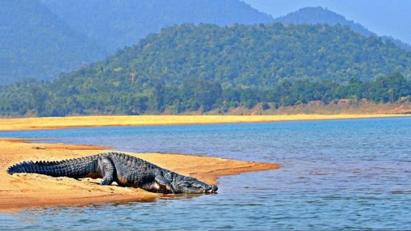 ସାତକୋଶିଆରେ ପର୍ଯ୍ୟଟକଙ୍କ ଉପରେ ଲାଗିଲା କଟକଣା