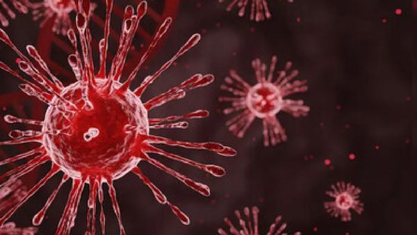 କାୟା ବିସ୍ତାର କରୁଛି HMPV ଭାଇରସ, ଏପରି ରୁହନ୍ତୁ ସତର୍କ