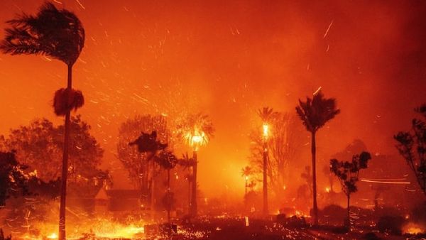 ଜଳି ପୋଡି ପାଉଁଶ ହେଉଛି Hollywood ! ବଢିପାରେ ମୃତ୍ୟୁ ସଂଖ୍ୟା