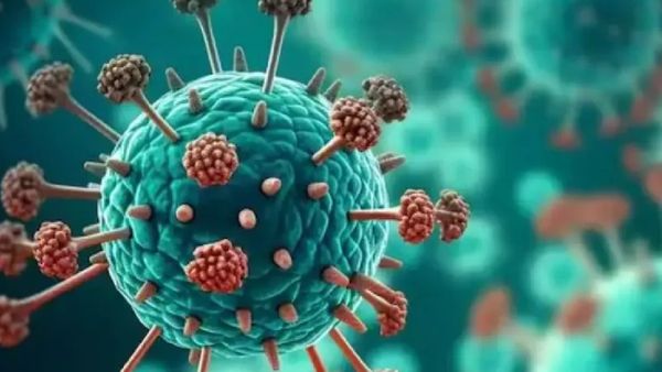 ଦେଶରେ କାୟା ବିସ୍ତାର କରୁଛି HMPV ଭାଇରସ, ୧୪ ଛୁଇଁଲା ଆକ୍ରାନ୍ତଙ୍କ ସଂଖ୍ୟା