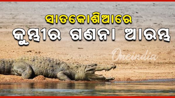 ସାତକୋଶିଆରେ ଆଜିଠୁ କୁମ୍ଭୀର ଗଣନା ଆରମ୍ଭ