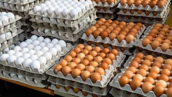 ଆମେରିକା ଭଳି ଦେଶରୁ ଚୋରି ହୋଇଗଲା ୧ଲକ୍ଷ ଅଣ୍ଡା, ପୋଲିସ କହିଲା ...