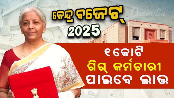 ଡେଲିଭରୀ ବୟଙ୍କ ପାଇଁ ବଜେଟରେ ବଡ଼ ଘୋଷଣା, ୧ କୋଟି ଗିଗ୍ କର୍ମଚାରୀ ପାଇବେ ଲାଭ