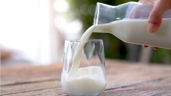 ଅଧିକ ମାତ୍ରାରେ କ୍ଷୀର ପିଉଛନ୍ତି କି ?