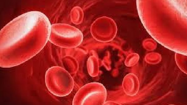 ଶରୀରରେ ରକ୍ତ କମିଗଲେ ଦେଖାଦିଏ ଏପରି ଲକ୍ଷଣ