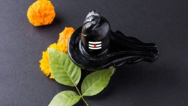 ଆସୁଛି ମହାଶିବରାତ୍ରୀ, ଜାଣନ୍ତୁ ବେଲପତ୍ର ଅର୍ପଣ କରିବାର ବିଧି