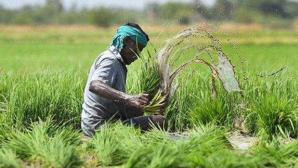 PM Kisan Samman Nidhi Yojana:୨୪ ଫେବ୍ରୁଆରୀରେ ଚାଷୀଙ୍କ ଖାତାକୁ ଆସିବ ଟଙ୍କା, ଏହିପରି ଯାଞ୍ଚ କରନ୍ତୁ ଲିଷ୍ଟରେ ଆପଣଙ୍କ ନାମ
