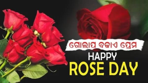 Rose Day: ଅଜି ଗୋଲାପ ଦିବସ, କାହାକୁ କେଉଁ ଗୋଲାପ ଦେବେ ତାହା ଜାଣି ରଖନ୍ତୁ ?