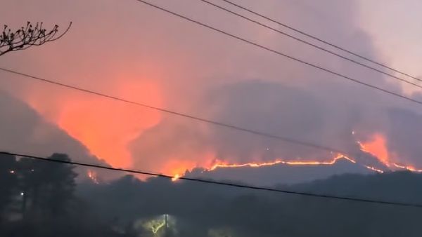 ଦକ୍ଷିଣକୋରିଆ ଜଙ୍ଗଲରେ ଲାଗିଲା ଭୟଙ୍କର ନିଆଁ , ଚାଲିଗଲା ୪ ଜୀବନ