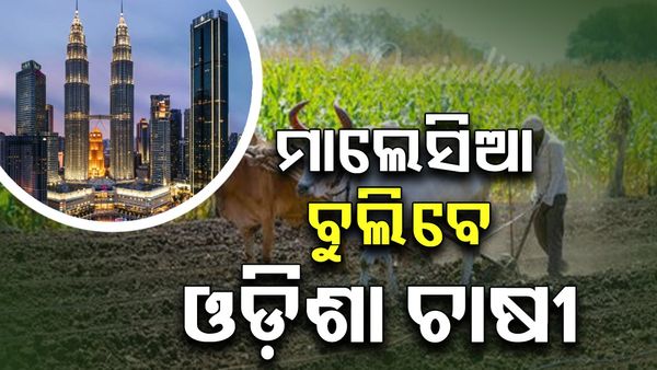 ମାଲେସିଆ ବୁଲିବେ ଓଡ଼ିଶା ଚାଷୀ