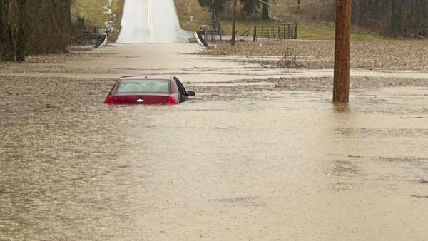 ପ୍ରକୃତିର ତାଣ୍ଡବ ! ନାଇଜେରିଆରେ ଭୟଙ୍କର ବନ୍ୟା ପରିସ୍ଥିତି ... ଗଲାଣି ୧୧୧ ଜୀବନ