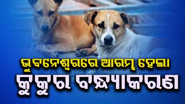 ରାଜଧାନୀ ଭୁବନେଶ୍ବରରେ ଆରମ୍ଭ ହେଲା କୁକୁର ବନ୍ଧ୍ୟାକରଣ