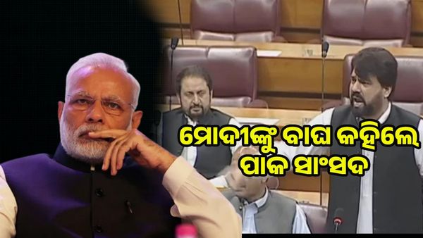 ପାକିସ୍ତାନ ସଂସଦରେ ପ୍ରଧାନମନ୍ତ୍ରୀ ମୋଦିଙ୍କ ପ୍ରଶଂସା, ଶେହବାଜ ସରିଫଙ୍କୁ  ଶୃଗାଳ କହିଲେ ନିଜ ଦେଶ ସାଂସଦ