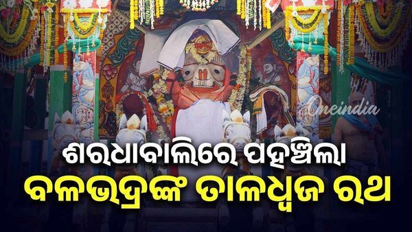 ଶରଧାବାଲିରେ ପହଞ୍ଚିଲା ବଳଭଦ୍ରଙ୍କ ତାଳଧ୍ୱଜ ରଥ; ଗୁଣ୍ଡିଚା ମନ୍ଦିର ଆଗରେ ଲାଗିଲା