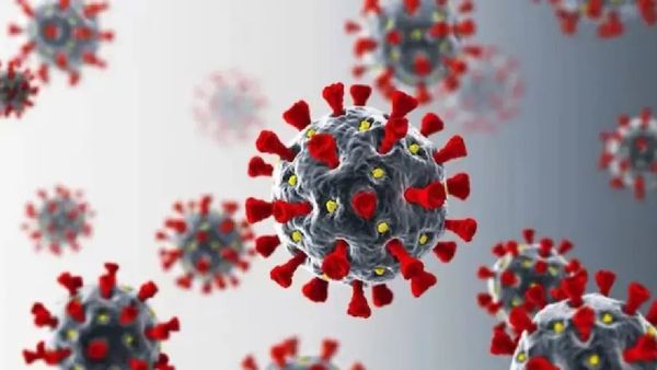 ରାଜ୍ୟରେ କୋଭିଡ୍ ଆକ୍ରାନ୍ତଙ୍କ ସଂଖ୍ୟା ୧୫କୁ ବୃଦ୍ଧି