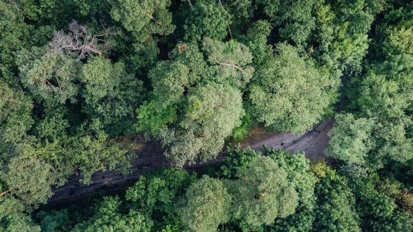 ପୁଣି ଭାରତୀୟ ସେନାର ସର୍ଜ୍ଜିକାଲ ଷ୍ଟ୍ରାଇକ୍‌! ମିଆଁମାର ସୀମାରେ....