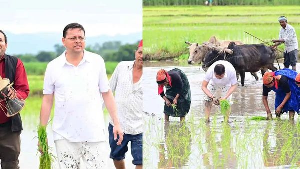 ବିଲରେ ହଳ କରିବା ସହ ତଳି ରୋଇଲେ ମୁଖ୍ୟମନ୍ତ୍ରୀ