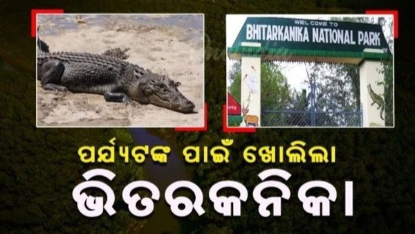 ପର୍ଯ୍ୟଟକଙ୍କ ପାଇଁ ଆଜିଠୁ ଖୋଲିଲା ଭିତରକନିକା ଜାତୀୟ ଉଦ୍ୟାନ