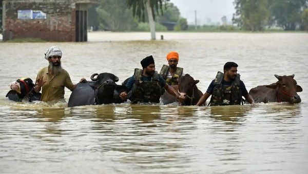 ପଞ୍ଜାବ ବନ୍ୟା ଉପରେ କୃଷିମନ୍ତ୍ରୀଙ୍କ ବଡ଼ ବୟାନ, କହିଲେ ବେଆଇନ ଖଣି ଖନନ ଯୋଗୁଁ......