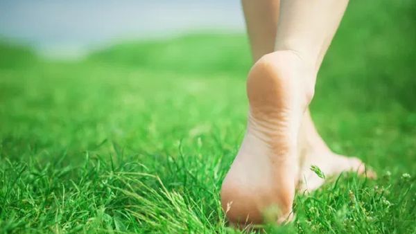 ପ୍ରତ୍ୟେକ ଦିନ ଚାଲନ୍ତୁ ଏତିକି ପାଦ, ଗୋଟାଏ ମାସ କମିଯିବ ଓଜନ