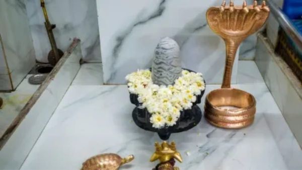 ଘରକୁ ଭଗବାନ ଶିବ ମୂର୍ତ୍ତି ଆଣୁଛନ୍ତି କି ? ଜାଣନ୍ତୁ ସ୍ଥାପନ କରିବା ପୂର୍ବରୁ...