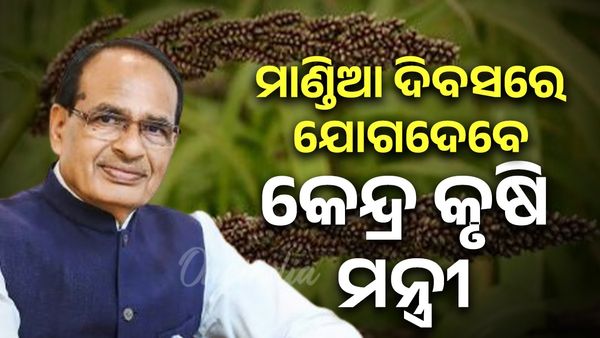 ନଭେମ୍ବର ୧୦ ମାଣ୍ଡିଆ ଦିବସରେ ହେବ ସ୍ବତନ୍ତ୍ର କାର୍ଯ୍ୟକ୍ରମ; ଯୋଗଦେବେ କେନ୍ଦ୍ର କୃଷି ମନ୍ତ୍ରୀ 