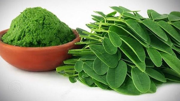 କୋଲେଷ୍ଟ୍ରୋଲକୁ କଣ୍ଟ୍ରୋଲ୍ କରିବ ସଜନା ଶାଗ
