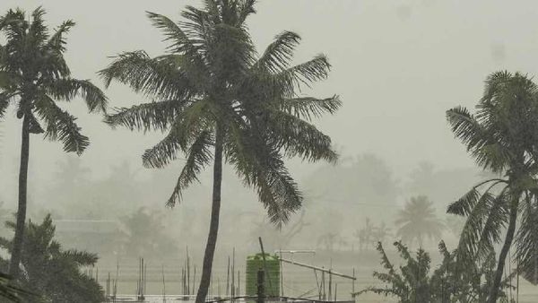 ବାତ୍ୟା 'ମୋନ୍ଥା' ବେଳେ ୧୩୬ ଶିଶୁ ଜନ୍ମ,୬୭ ପୁଅ ଓ ୬୯ ଝିଅ