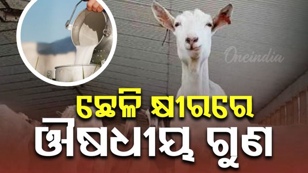 Goat Milk Benefits: ଛେଳି କ୍ଷୀର ଶରୀର ପାଇଁ କେତେ ଉପକାରୀ ?