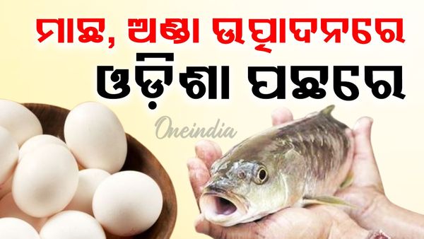 Fish and Egg: ମାଛ, ଅଣ୍ଡା ଉତ୍ପାଦନରେ ଓଡ଼ିଶା ପଛରେ
