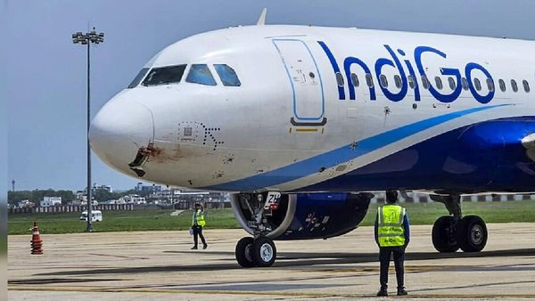 ଇଣ୍ଡିଗୋ CEOଙ୍କୁ କାରଣ ଦର୍ଶାଅ ନୋଟିସ୍, ୨୪ ଘଣ୍ଟାରେ ଉତ୍ତର ଦେବାକୁ ନିର୍ଦ୍ଦେଶ