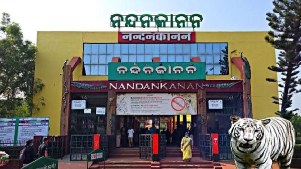 ପର୍ଯ୍ୟଟକଙ୍କ ପାଇଁ ଖୁସି ଖବର; ନନ୍ଦନକାନନରେ ୨୫ ବର୍ଷ ପରେ ଖୋଲିଲା ଓଧି ଖୁଆଡ