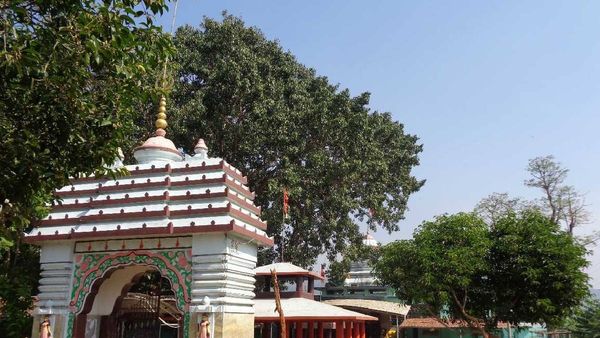 ସରିଲା ମା’ ମଝିଘରିଆଣୀ ମନ୍ଦିରର ଦାନ ହୁଣ୍ଡି ଗଣତି, ମିଳିଲା ୧ କୋଟିରୁ ଊର୍ଦ୍ଧ୍ବ ଟଙ୍କା