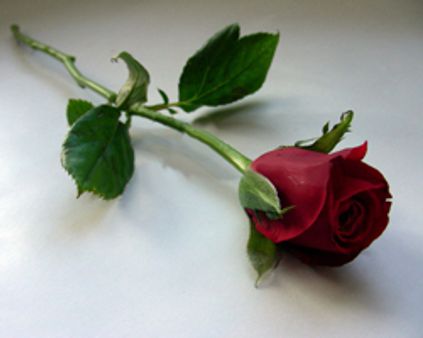 முன்னே செல்வது..- சிறுகதை