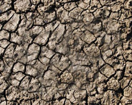 ~~பஞ்ச~~ பண்டவர்கள்!