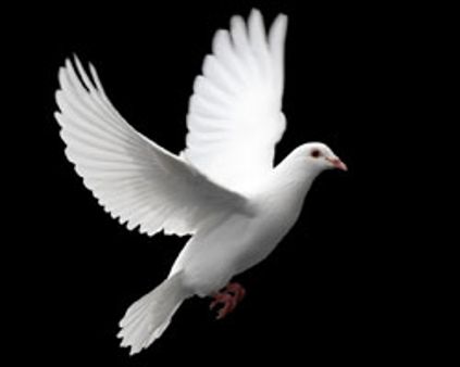 கடவுள்...