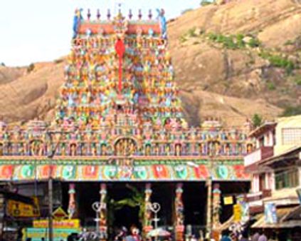 திருப்பரங்குன்றத்தில் முருகப்பெருமான்-தெய்வானை திருக்கல்யாணம்