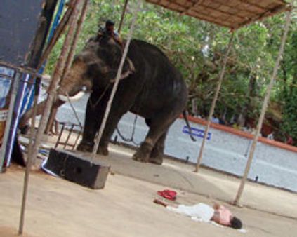 கேரளா-மதம் பிடித்த கோவில் யானை மிதித்து பெண் உள்பட 3 பேர் பலி