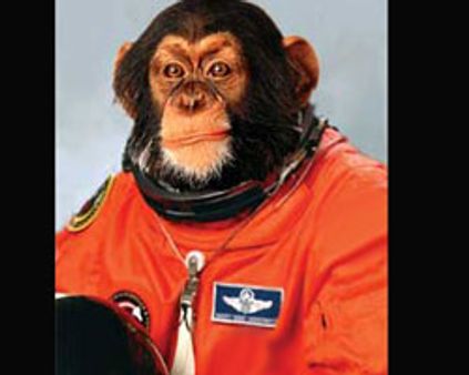 செவ்வாய் கிரகம் செல்ல குரங்குகளுக்கு பயிற்சி!!